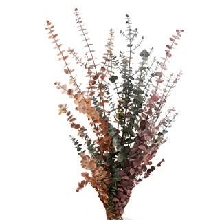 Ashland® Eucalyptus Bunch, 8 oz Tri-Colored | Michaels Stores