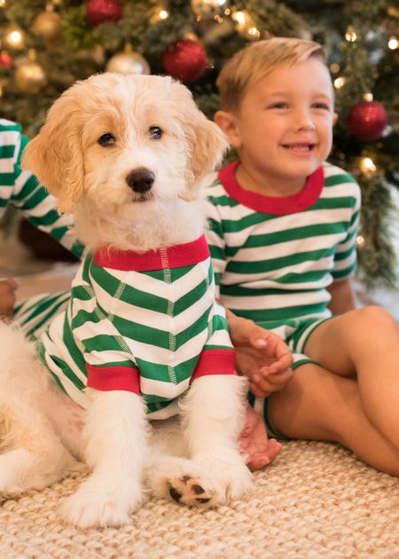 The pets pajamas are on sale & so cute 🥹
. #matchymatchy #christmaspajamas #ltksale 

#LTKGiftGuide #LTKSeasonal #LTKHoliday
