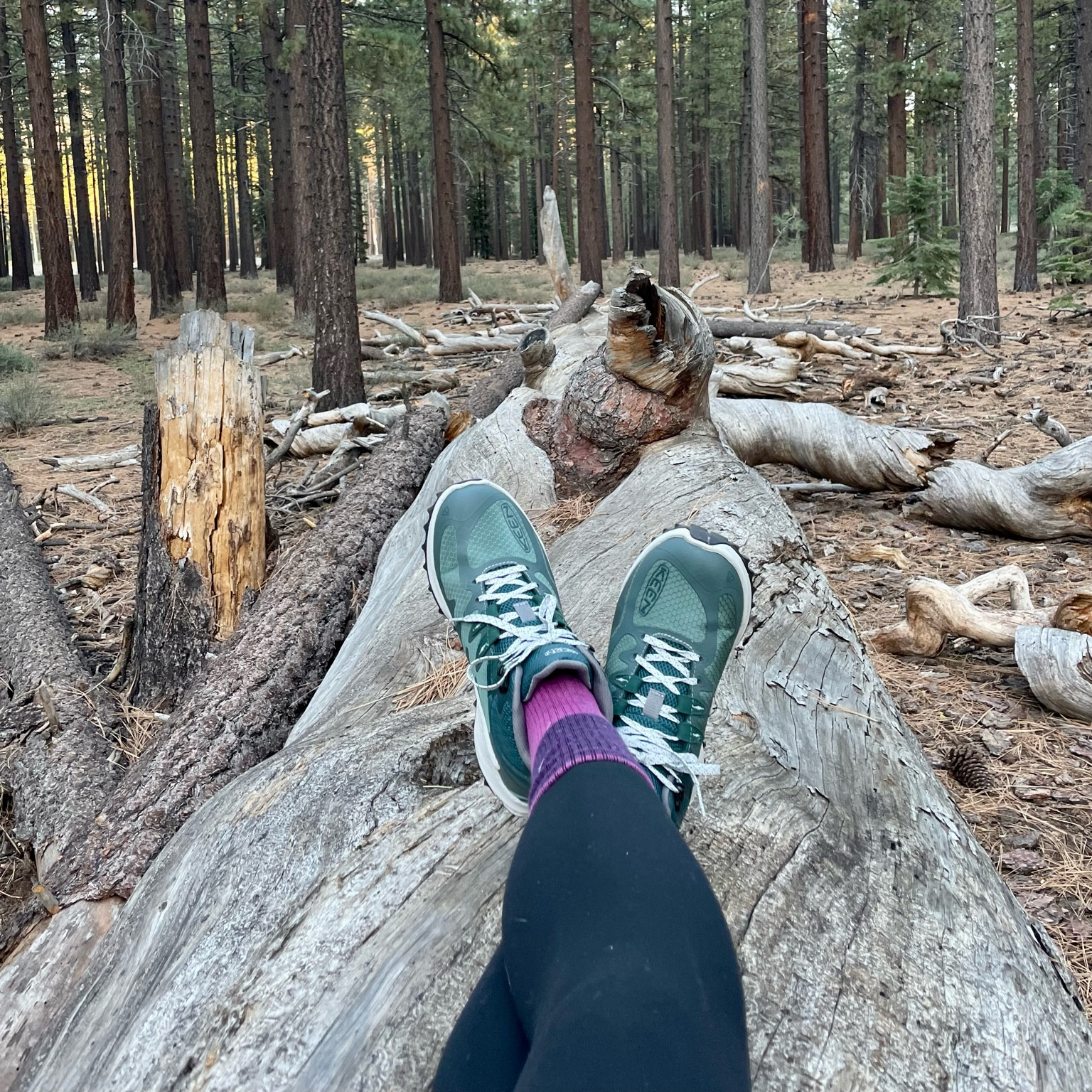 It’s hiking season and I snagged these cuties keen hiking 🥾 from Peltz Shoes!

#LTKFitness #LTKFallSale #LTKActive