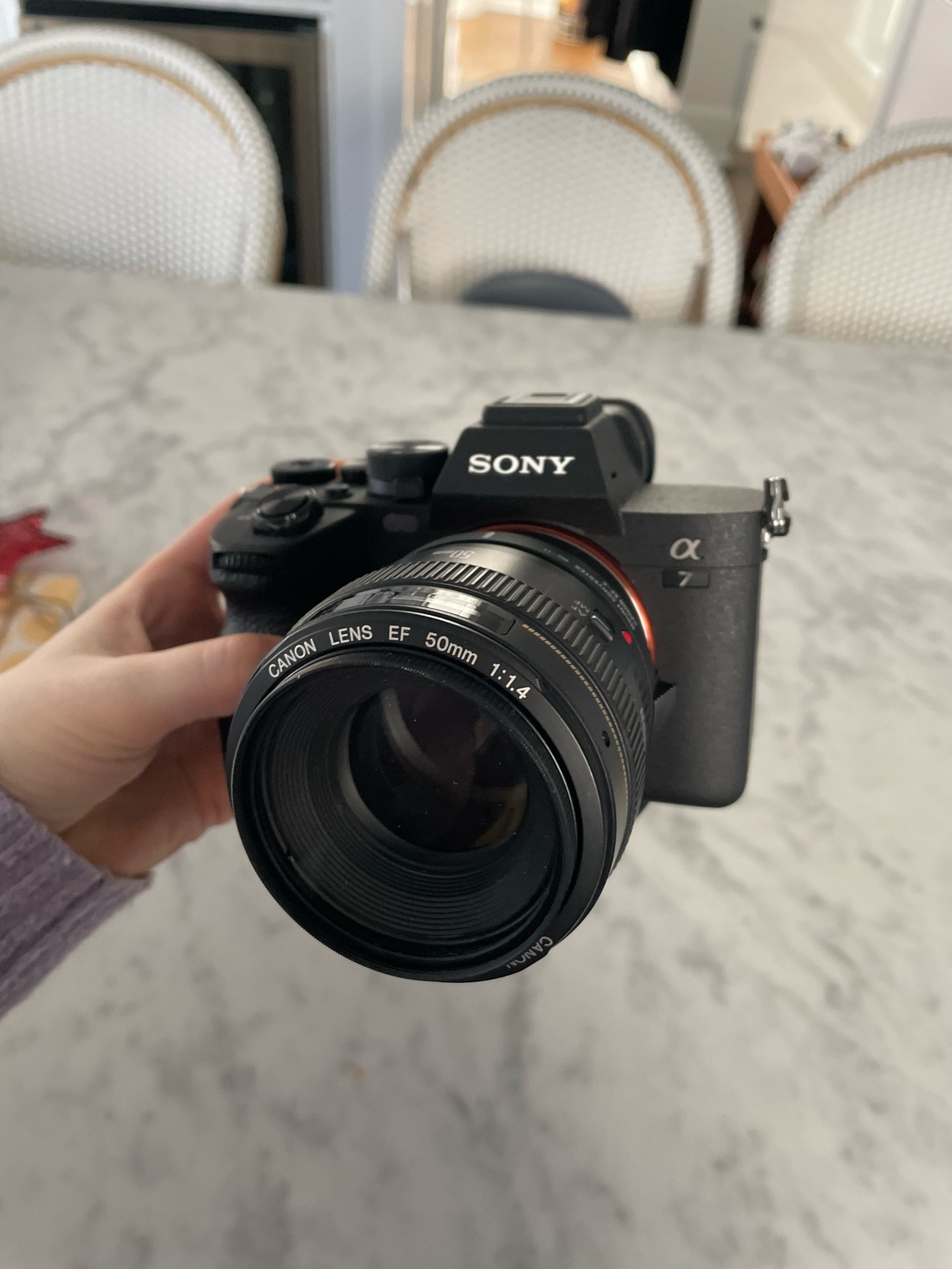 My fave camera for capturing family memories, the Sony a7 IV. We already had this portrait lens from my old Canon and went with a converter lens so the Sony and canon would be compatible. With that being said Sony has so many good options for equivalent/better lenses based on what you need #photography 

#LTKGiftGuide #LTKtravel #LTKhome