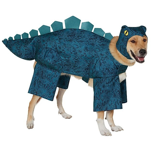 FRISCO Stegosaurus Dinosaur Dog & Cat Costume, XXX-Large - Chewy.com | Chewy.com