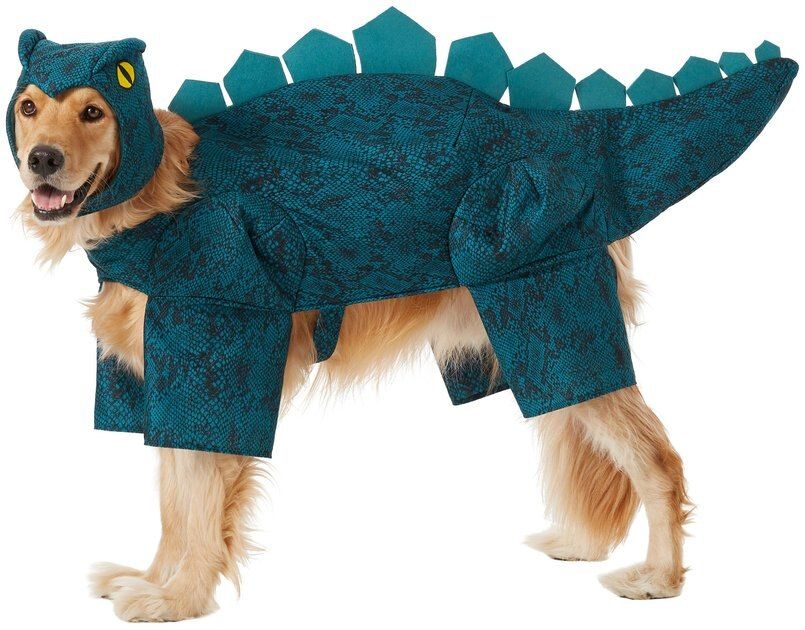 FRISCO Stegosaurus Dinosaur Dog & Cat Costume, XXX-Large - Chewy.com | Chewy.com