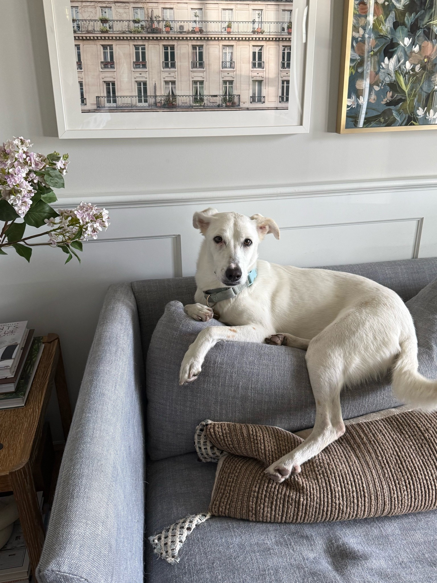 Some living room indoor ✨

Paint colors, white paint, living room, living room inspo, Serena & Lily, GIRLONTHEHUDSON, neutral home, modern coastal, minted art, cozy home,coffee table accessories, coffee table styling, peel-and-stick wallpaper, throw pillows, mixing high and low

#LTKSaleAlert #LTKHome #LTKdayinmylife