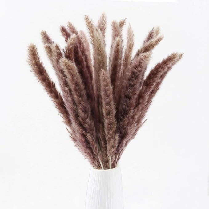 XYXCMOR Dried Pampas Grass Plumes 30pcs 17 Inch Tall Natural Phragmites Communis Artificial Faux ... | Amazon (US)