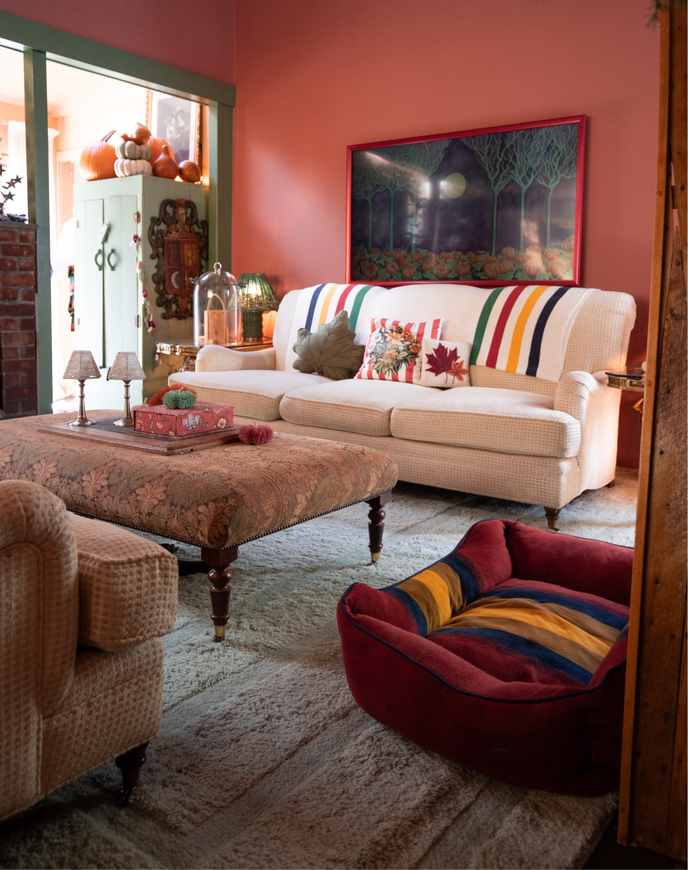 New doggy bed for the colder weather 