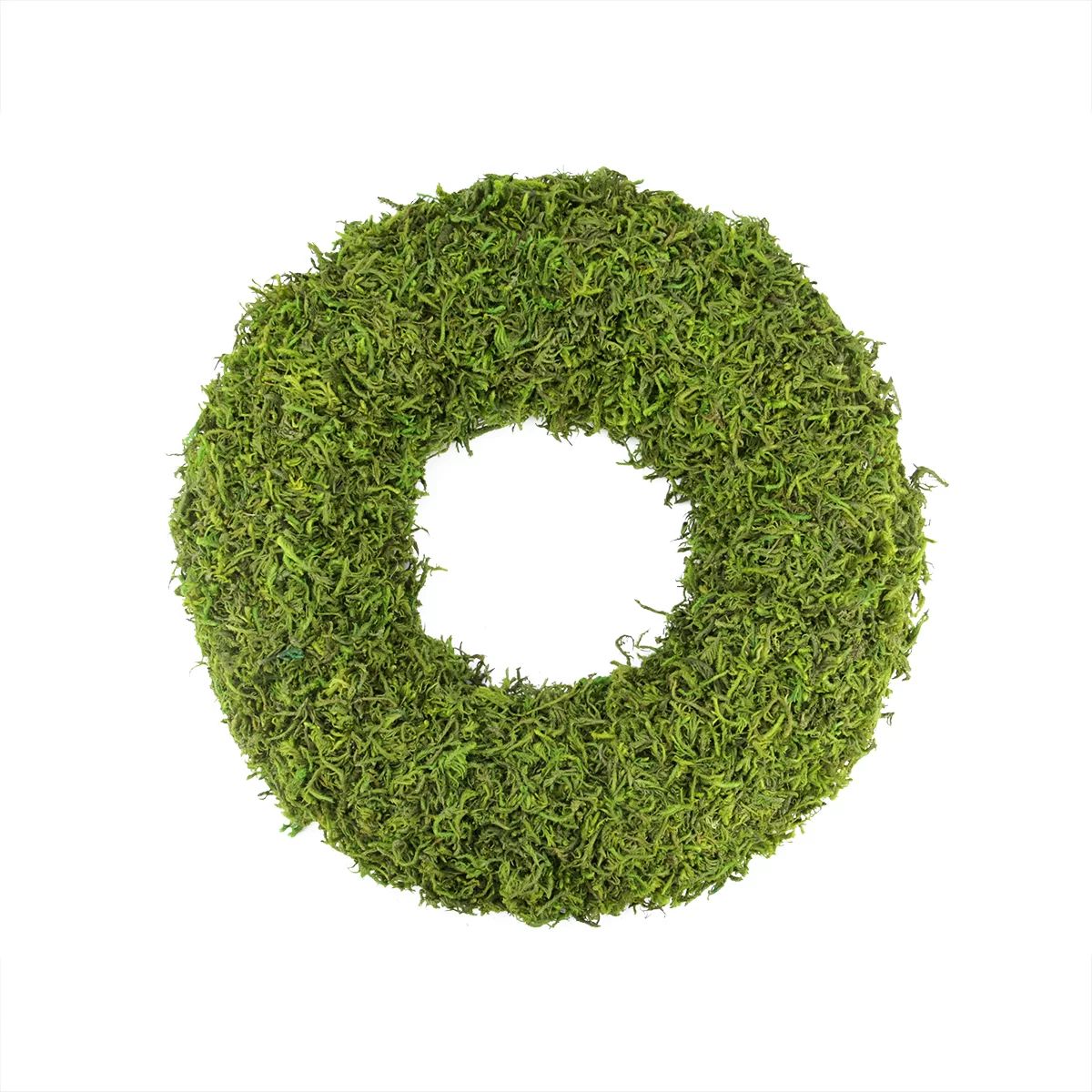 Northlight 13.7" Reindeer Moss Artificial Floral Spring Wreath - Unlit & Reviews | Wayfair | Wayfair North America
