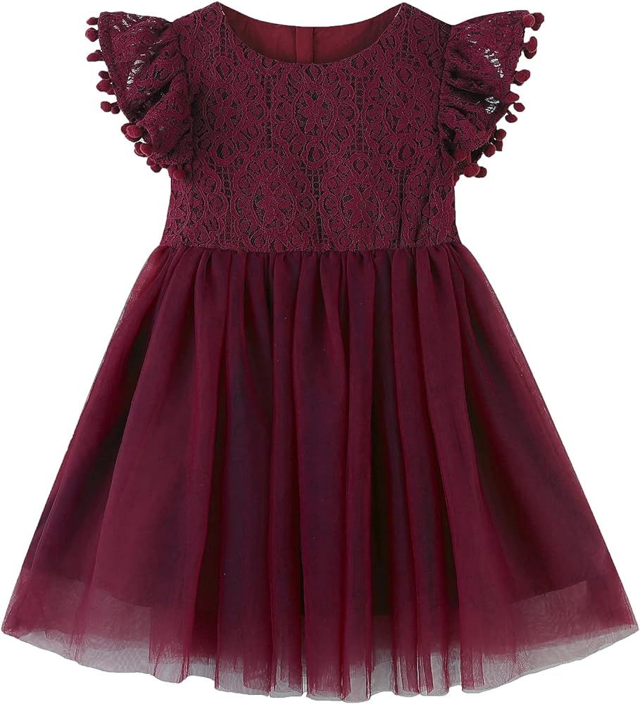 RJXDLT Toddler Girls Lace Dresses Baby Girl Elegant Dress Flutter Sleeve Lace Dress Party Princes... | Amazon (US)