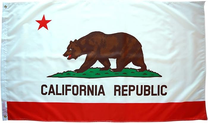 3x5 California Flag - CA State Flag with Grommets, Brown and White, 36" x 60" Polyester, Indoor/O... | Amazon (US)