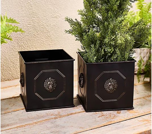 Cozy Cottage by Liz Marie Set of 2 Metal Lion Planters - QVC.com | QVC