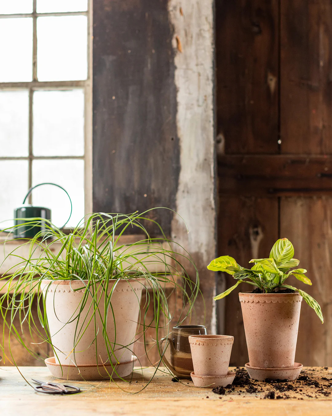 Scalloped Terracotta Garden Pot & Saucer | Farmhouse Pottery | Farmhouse Pottery