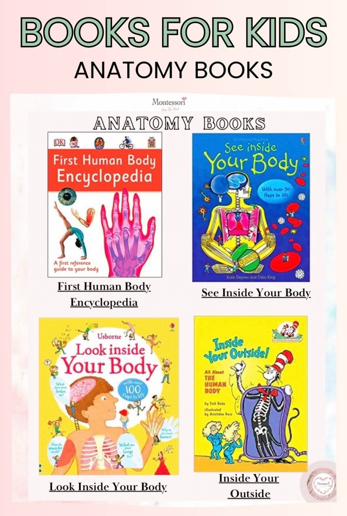 Anatomy Books for Kids

#LTKkids #LTKfamily #LTKhome
