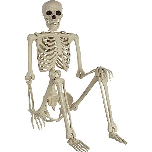 amscan Life-Size Poseable 5ft Skeleton Halloween Decoration, 1 Pc.- Perfect for Indoor/Outdoor Use | Amazon (US)