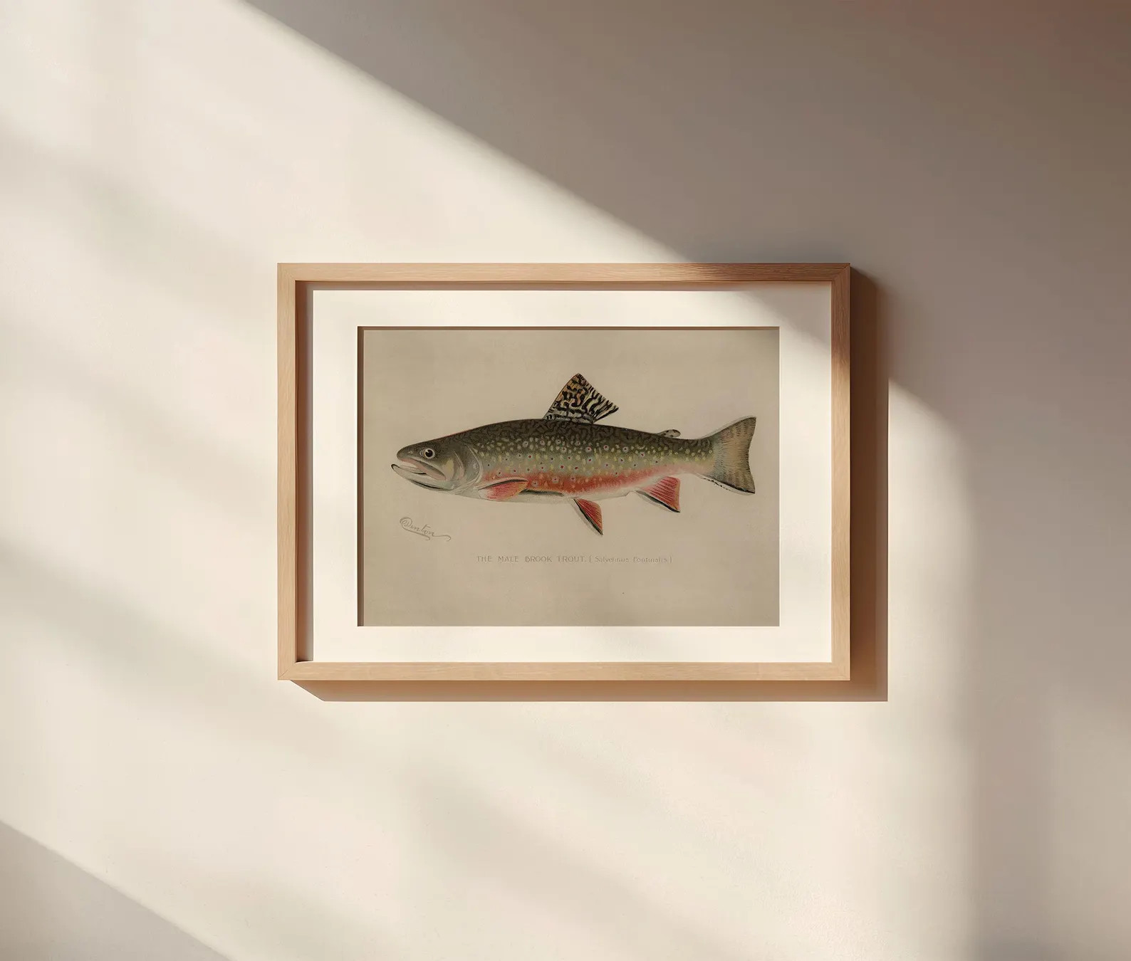 Vintage Trout Art Printable: Cottagecore Fish Wall Decor Download | Etsy (Global)