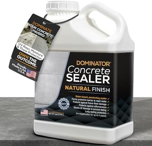 DOMINATOR Concrete Sealer for Driveway 1 Gallon | Penetrating Water Based Paver Sealer Outdoor Wa... | Amazon (US)
