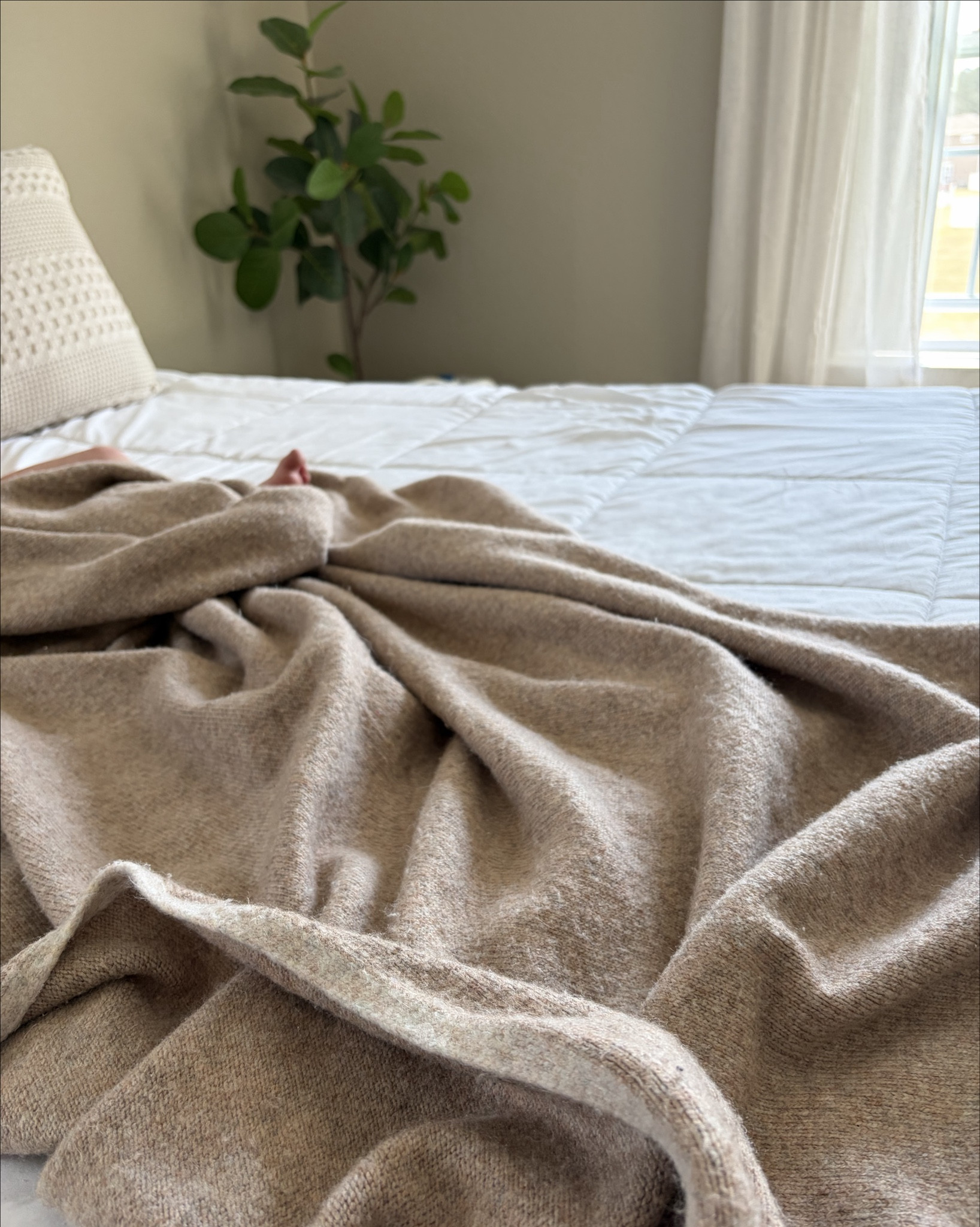 this blanket is one of those small things that just makes everything feel cozier
I use it literally every day 


#LTKHome #LTKmomlife #LTKselfcare