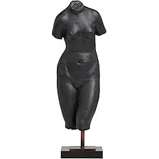 The Novogratz Polystone Woman Decorative Sculpture Home Decor Statue, Accent Figurine 5" x 5" x 1... | Amazon (US)