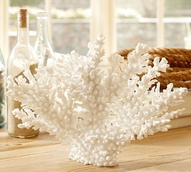 White Spike Coral | Pottery Barn (US)