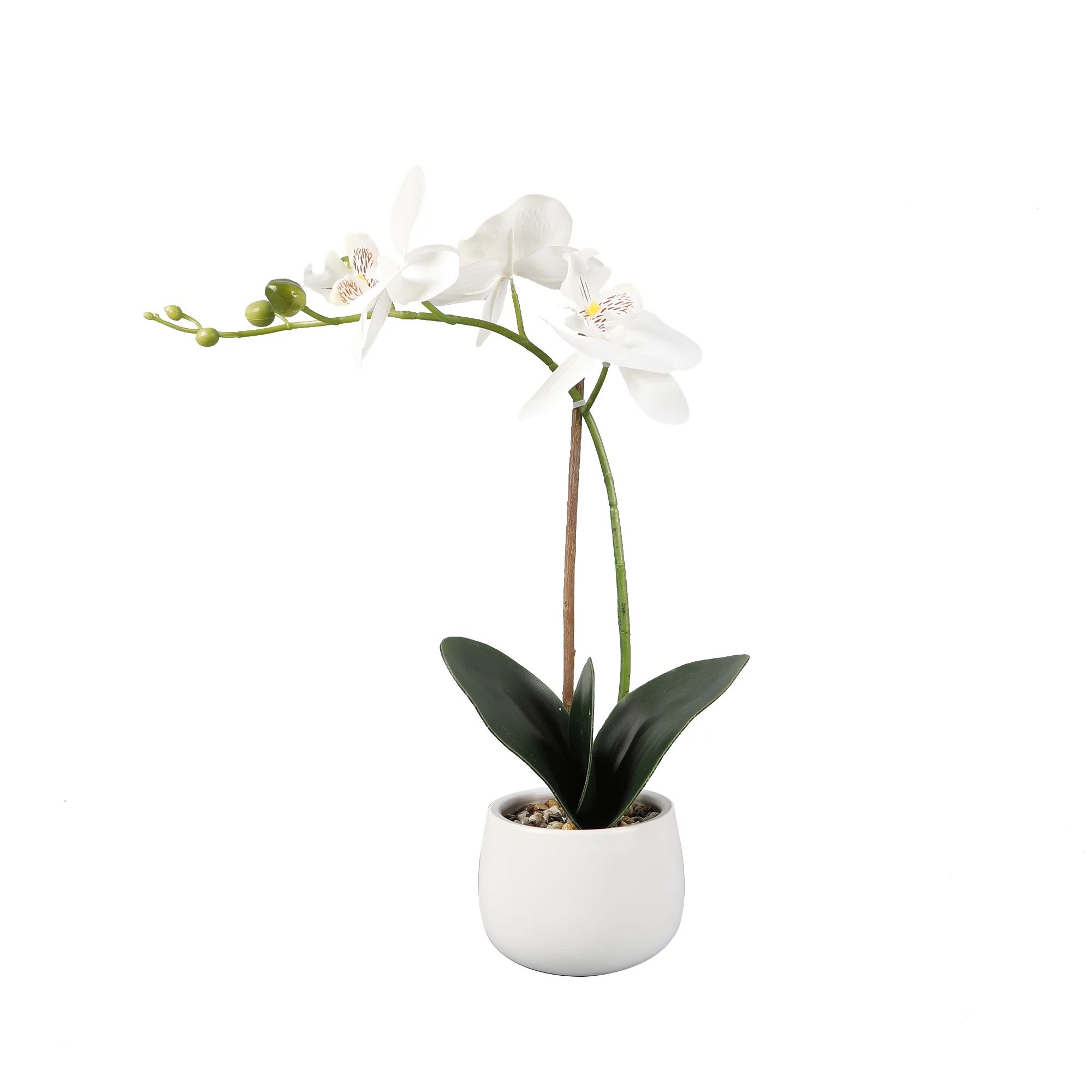 Better Homes & Gardens 14.5" Artificial Real Touch Orchid Flowers in White Ceramic | Walmart (US)