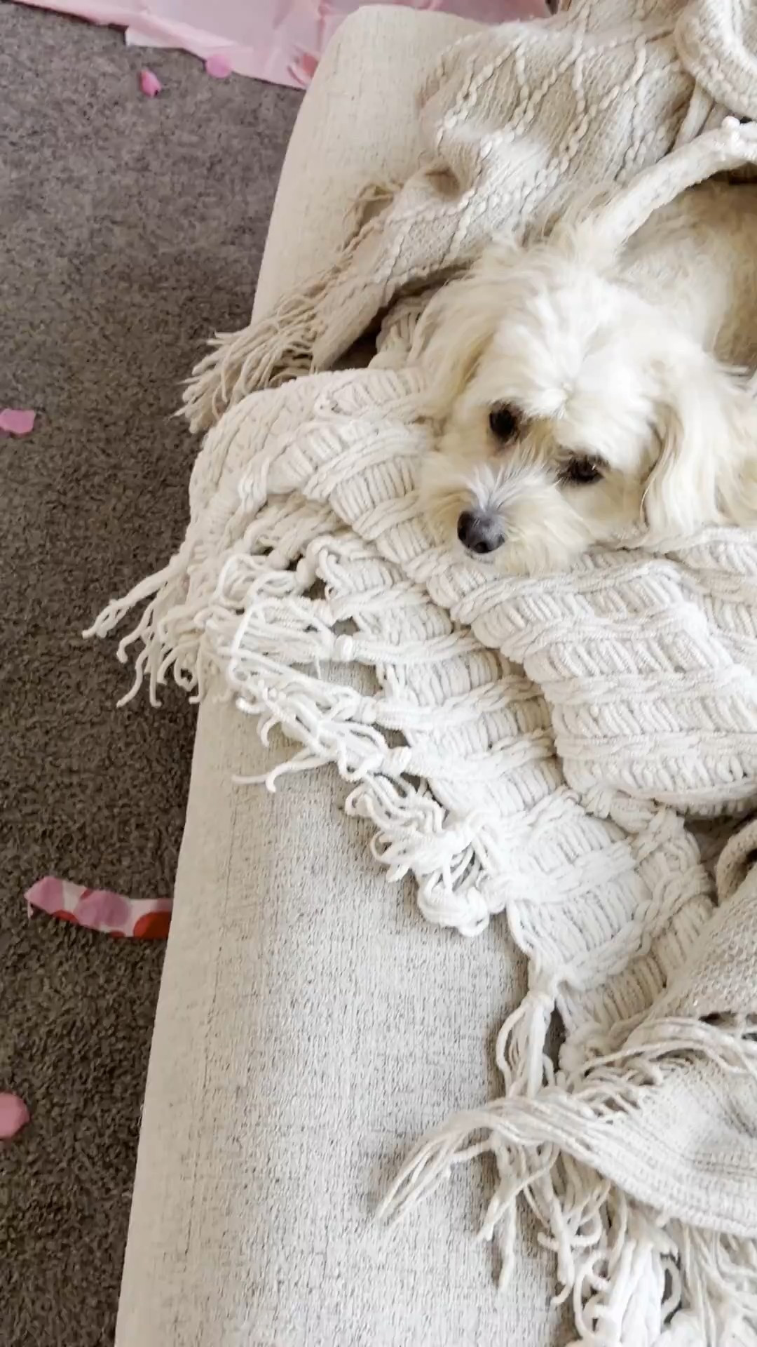 #LTKHome #LTKmomlife