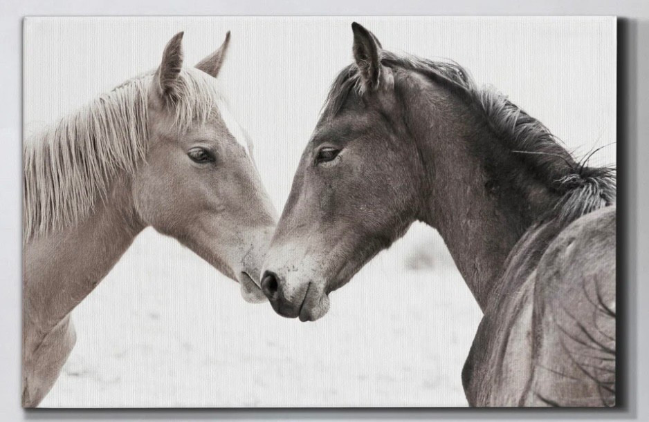 Horse Wall Art

#LTKFindsUnder100 #LTKHome