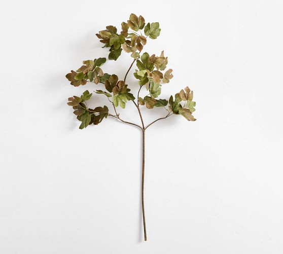 Faux Turning Fig Leaf Branch | Pottery Barn (US)