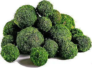 BYHER Moss Balls, 18 PCS Decorative Balls for Centerpiece Bowls - 6pcs 3.2" Natural Dried Balls+ ... | Amazon (US)