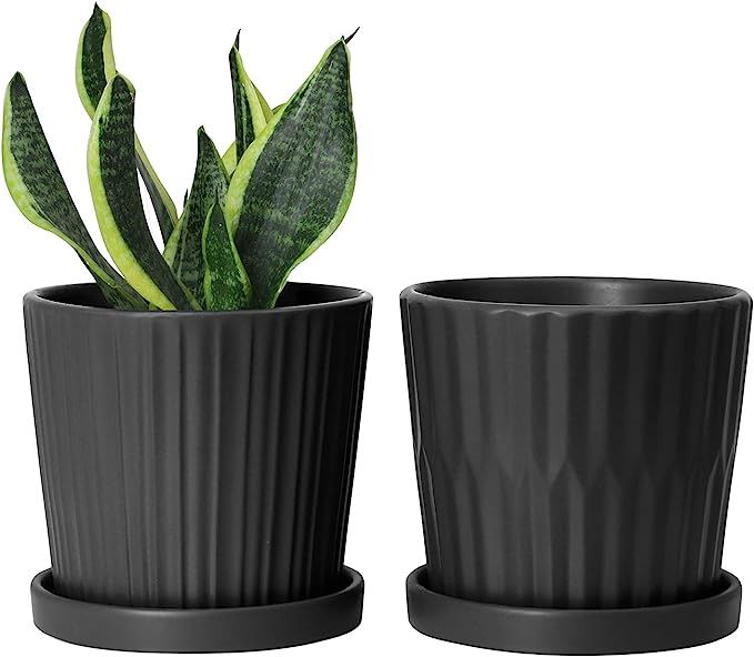 Greenaholics Black Plant Pots - 6 Inch Ceramic Flower Planters Indoor with Drainage and Attached ... | Amazon (US)