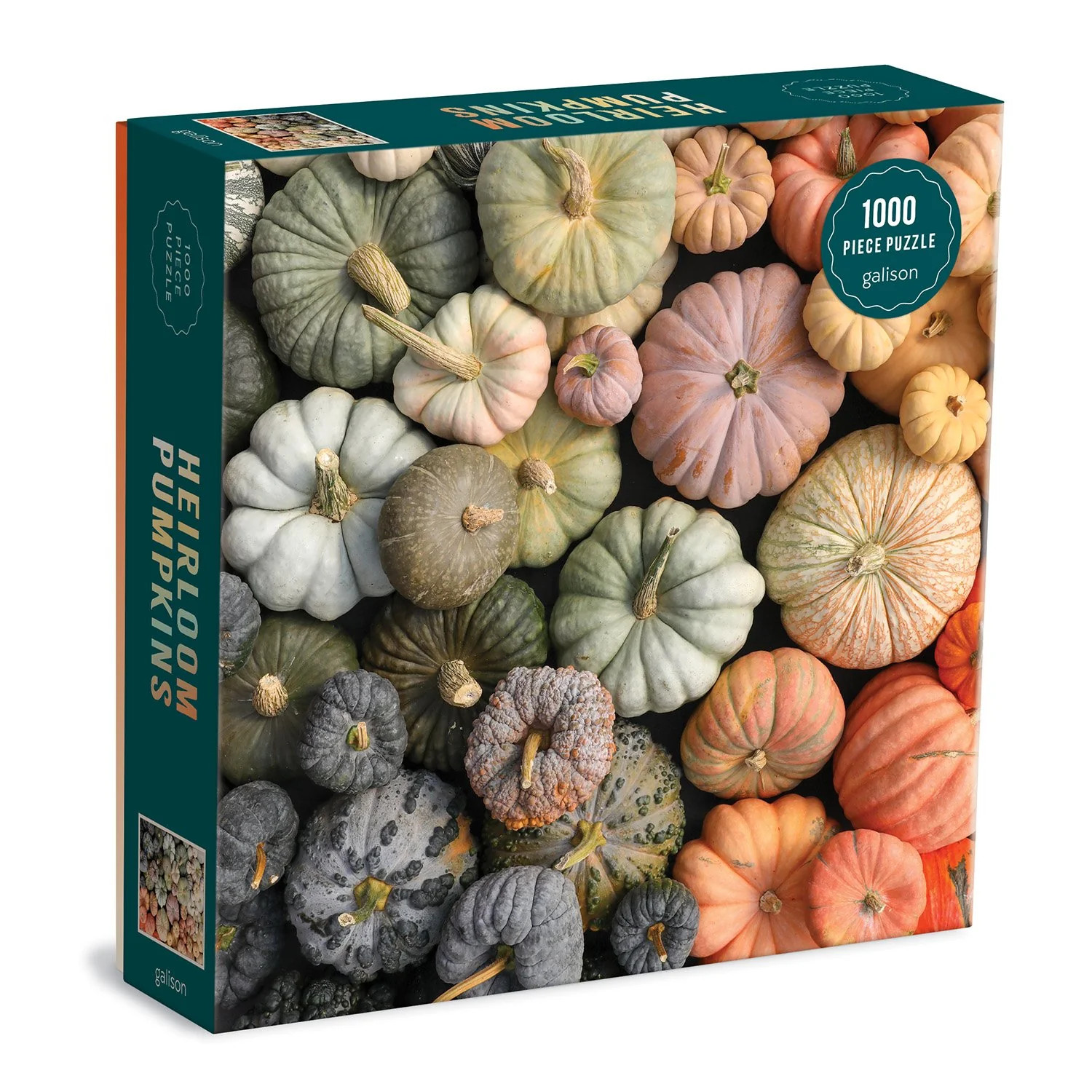 Heirloom Pumpkins 1000 Piece Puzzle | Galison