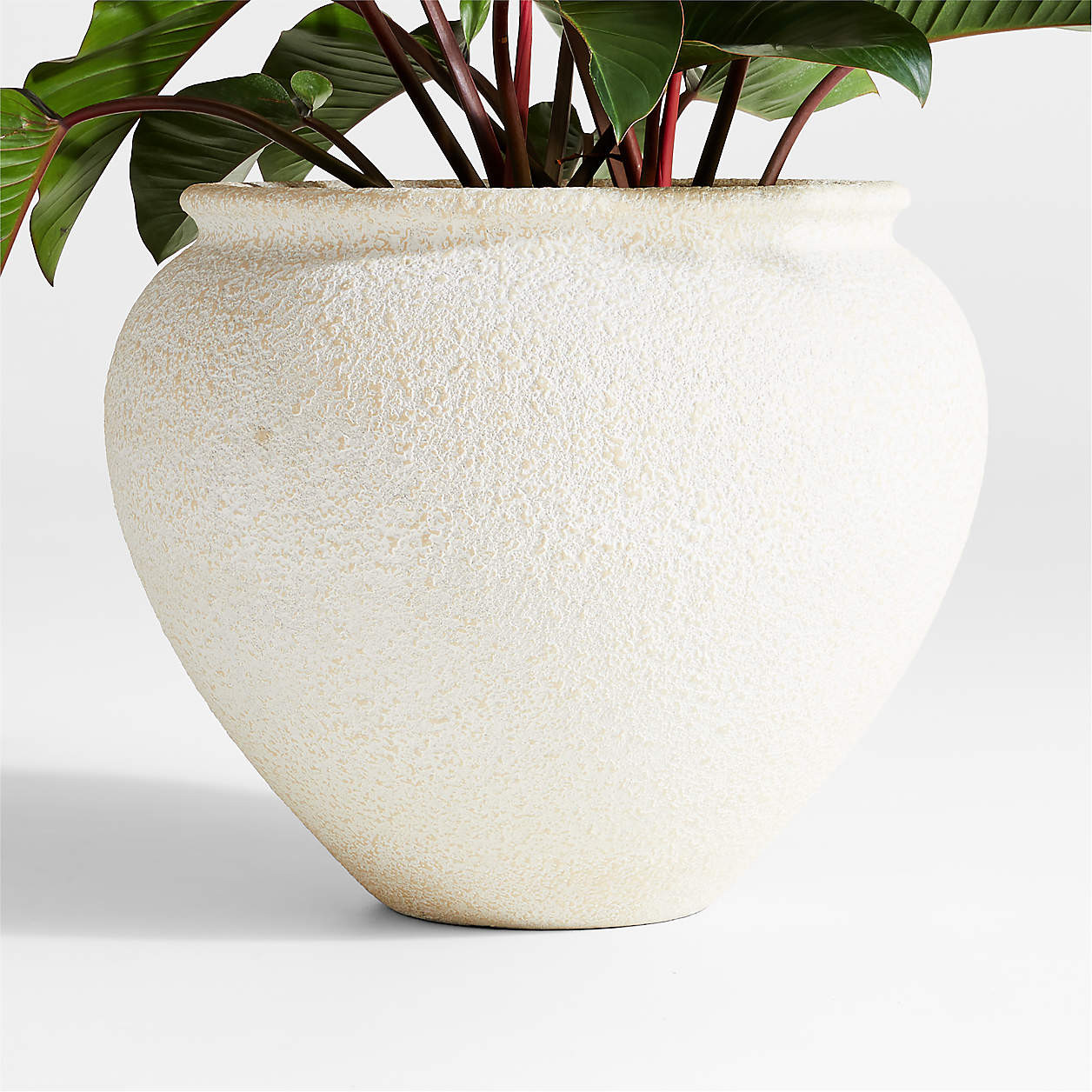 Ophelia 28.7" x 23.62" Matte White Large Planter + Reviews | Crate & Barrel | Crate & Barrel