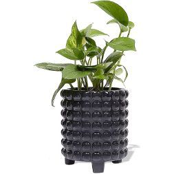 Juvale Hobnail Vase Ceramic Planter, Dark Gray Flower Pot, 5 Inch Inside Diameter | Target