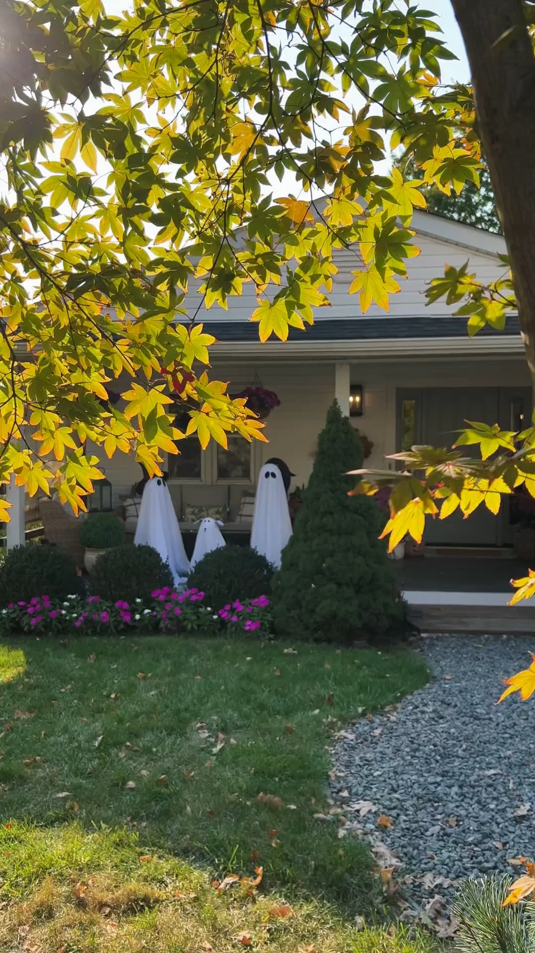 POTTERY BARN HALLOWEEN CLEARANCE ALERT 🎃✨

Halloween may be just around the corner, but there’s still time to elevate your spooky decor with these gorgeous pieces! From statement pumpkins to hauntingly beautiful accents, these finds are perfect for adding that final touch. Grab them before they’re gone!

#LTKSeasonal #LTKHalloween #LTKHome