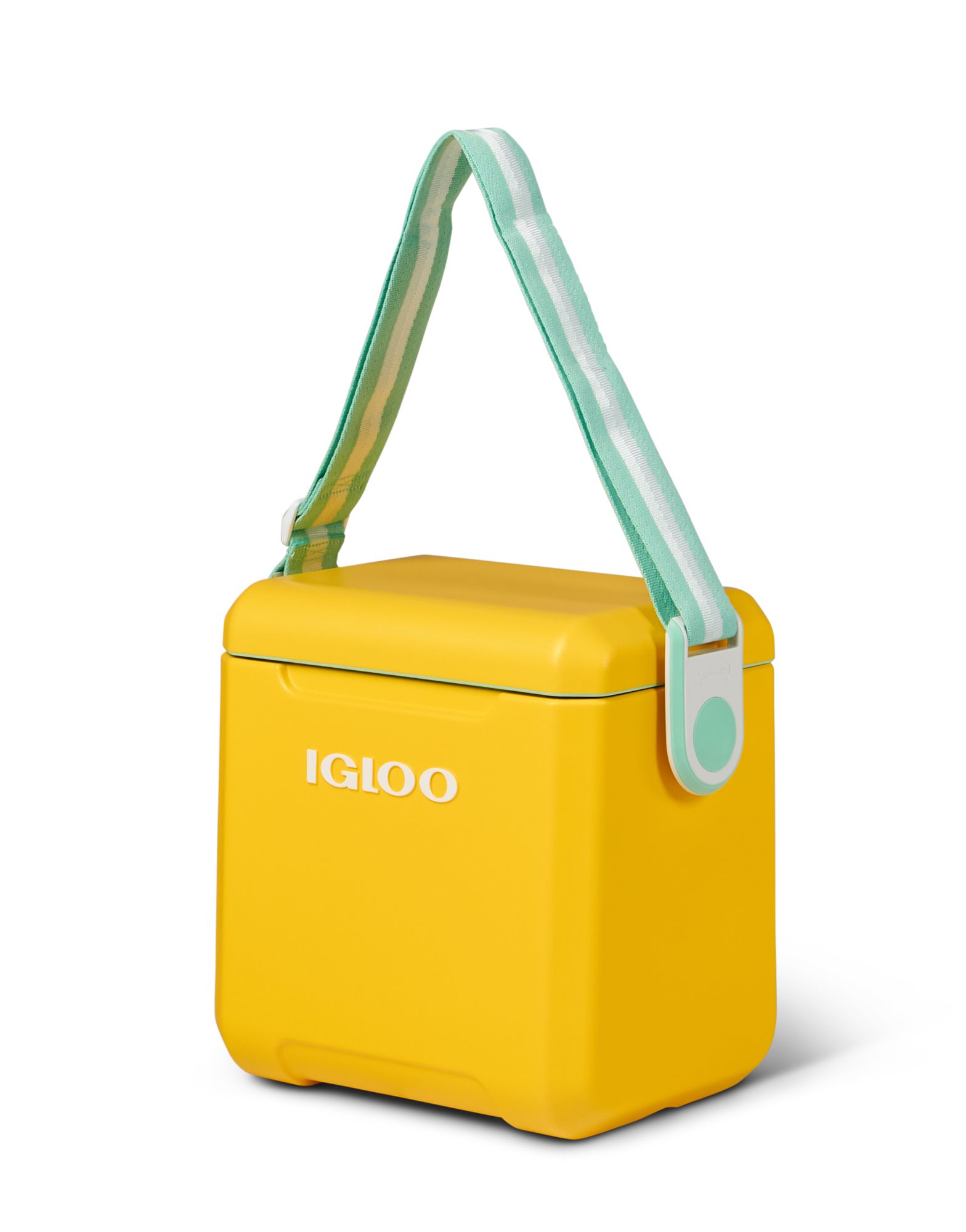 Visit the Igloo Store | Walmart (US)