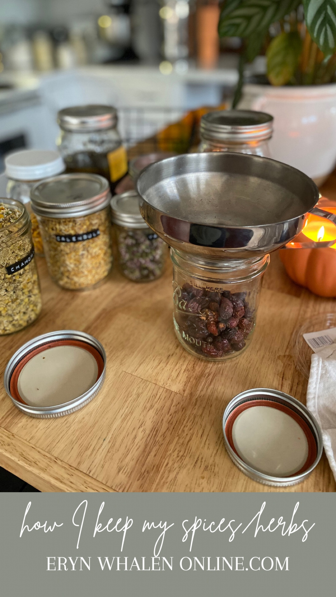 How I organize my spices and herbs

#LTKhome #LTKSeasonal #LTKfindsunder50