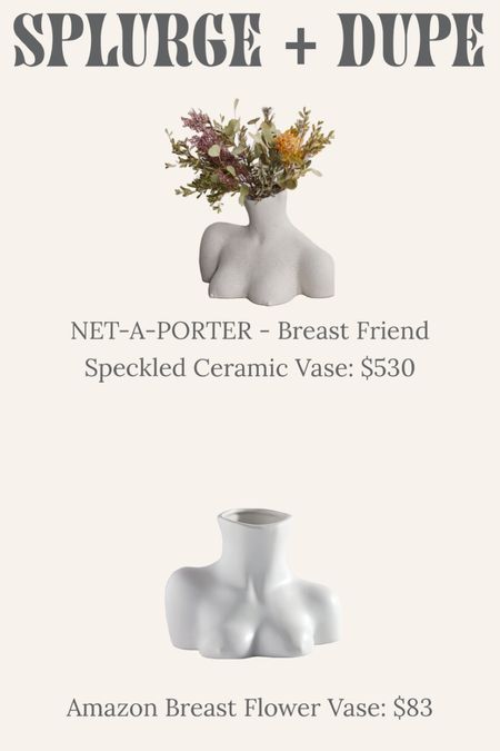 Boob vase - Breast Vase - Flower Vase - net-a-porter and Amazon splurge and dupe 

#LTKcurves #LTKhome #LTKunder50