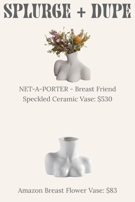 Boob vase - Breast Vase - Flower Vase - net-a-porter and Amazon splurge and dupe 

#LTKcurves #LTKhome #LTKunder50