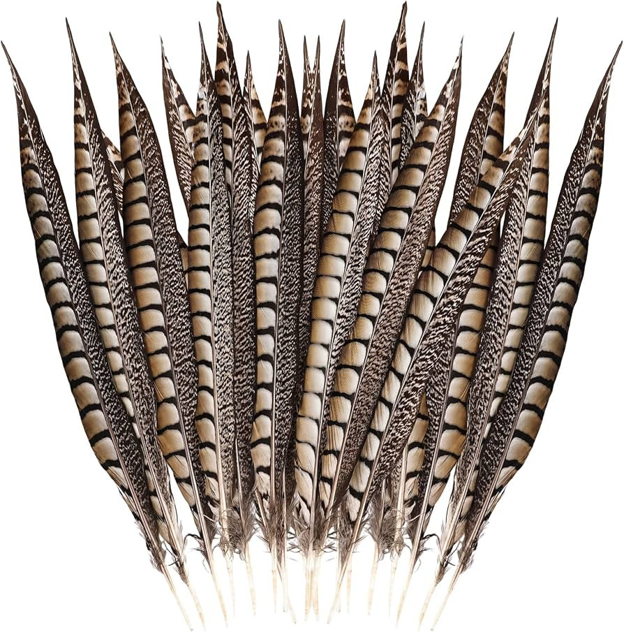 FeelfunFeather 5pcs Pheasant Feather 16-18inch 40-45cm Natural Lady Amherst Pheasant Feathers for... | Amazon (US)