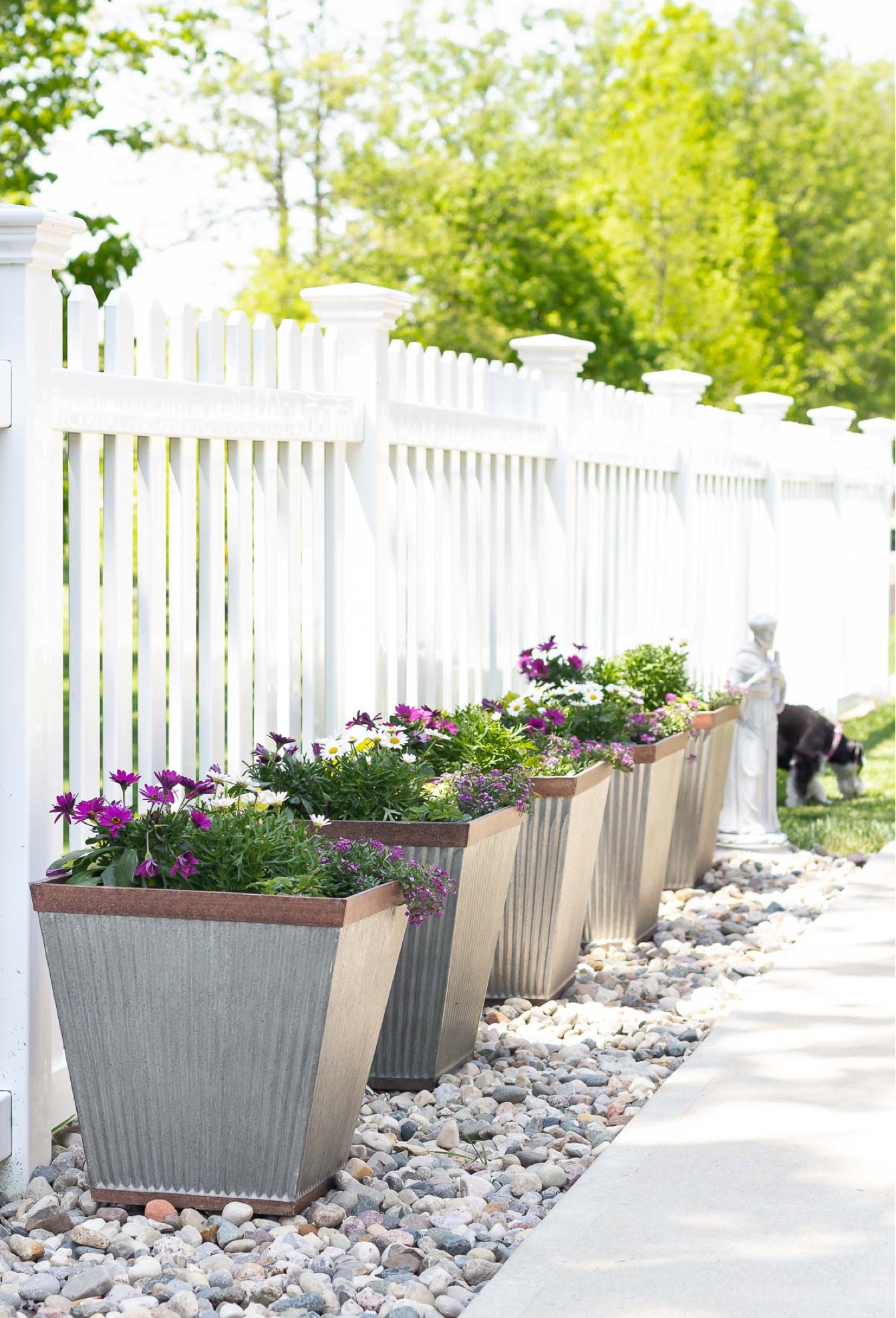 Container garden ideas. So easy and beautiful!
@amazon #amazonhome

#LTKSeasonal #LTKhome