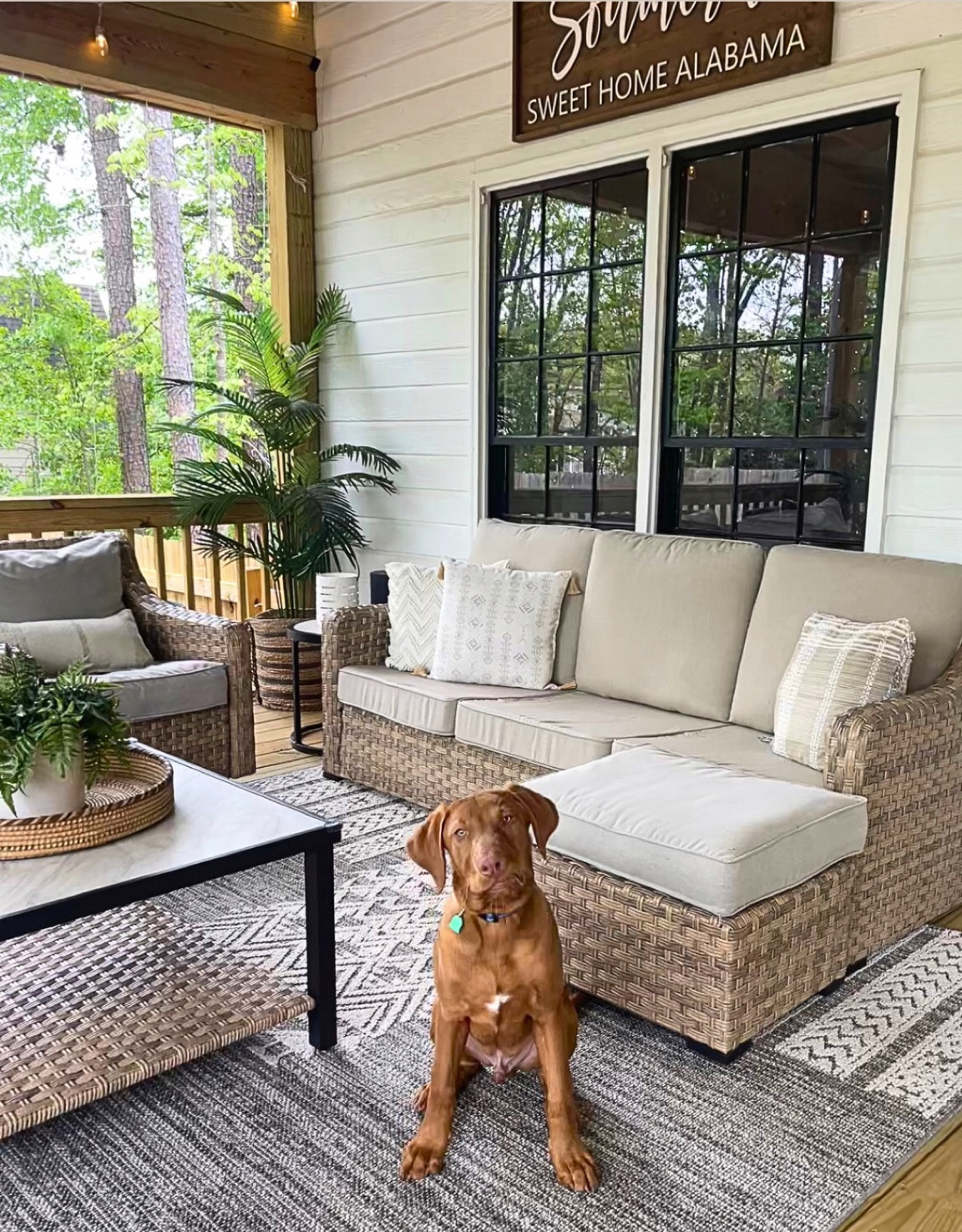 I found a great replacement cushion for the ever popular BHG outdoor living set!!! 

The fit is perfect, the cushions are super comfortable and they come in multiple color options. Mine are the color BEIGE. 



#LTKSeasonal #LTKFind #LTKhome