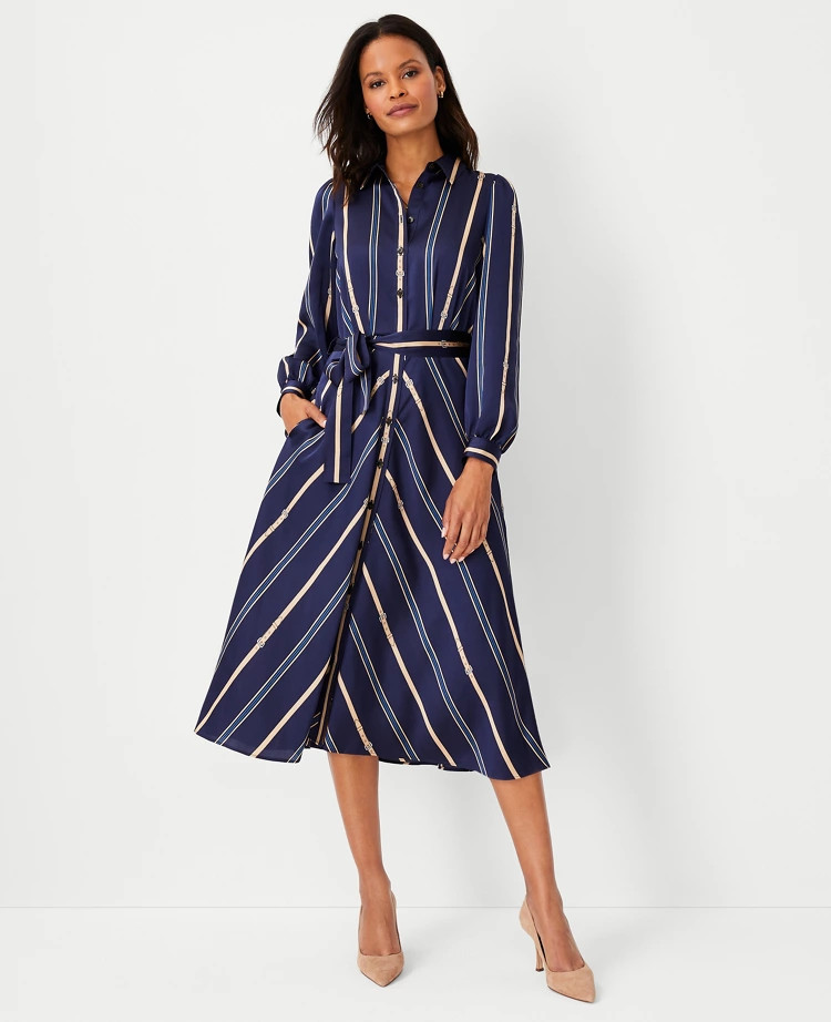 Stripe Belted Shirtdress | Ann Taylor (US)