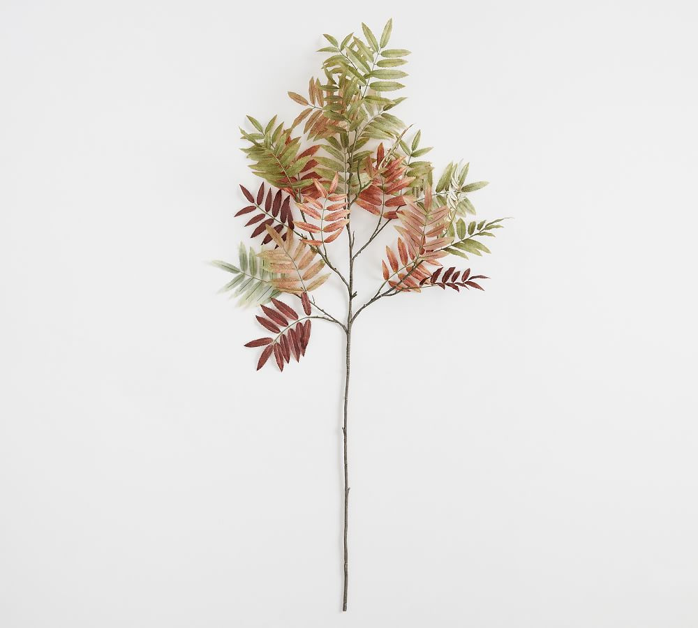 Faux Autumn Sumac Branch | Pottery Barn (US)