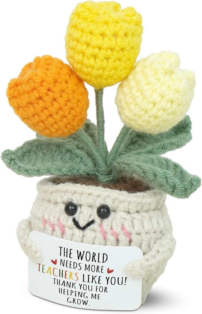 OASSIE Christmas Teacher Gifts for Women - Mini Handmade Positive Tulip Crochet Flowers with Mess... | Amazon (US)