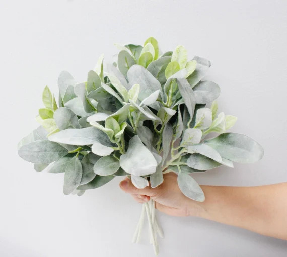 Pack of 10-newly Production-quality Lambs Ear Stem-flocked 2 | Etsy | Etsy (US)