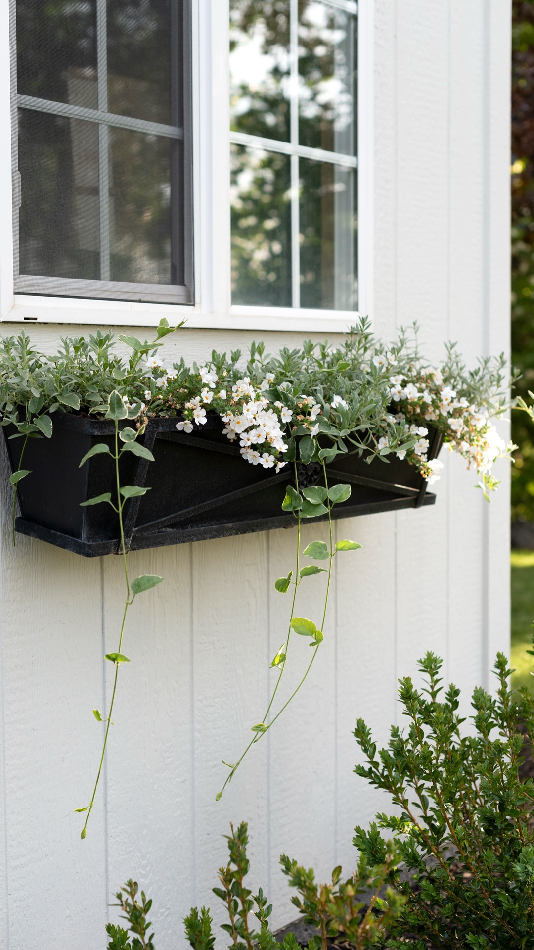 My top planter picks for window flower boxes.

#LTKHome #LTKSeasonal