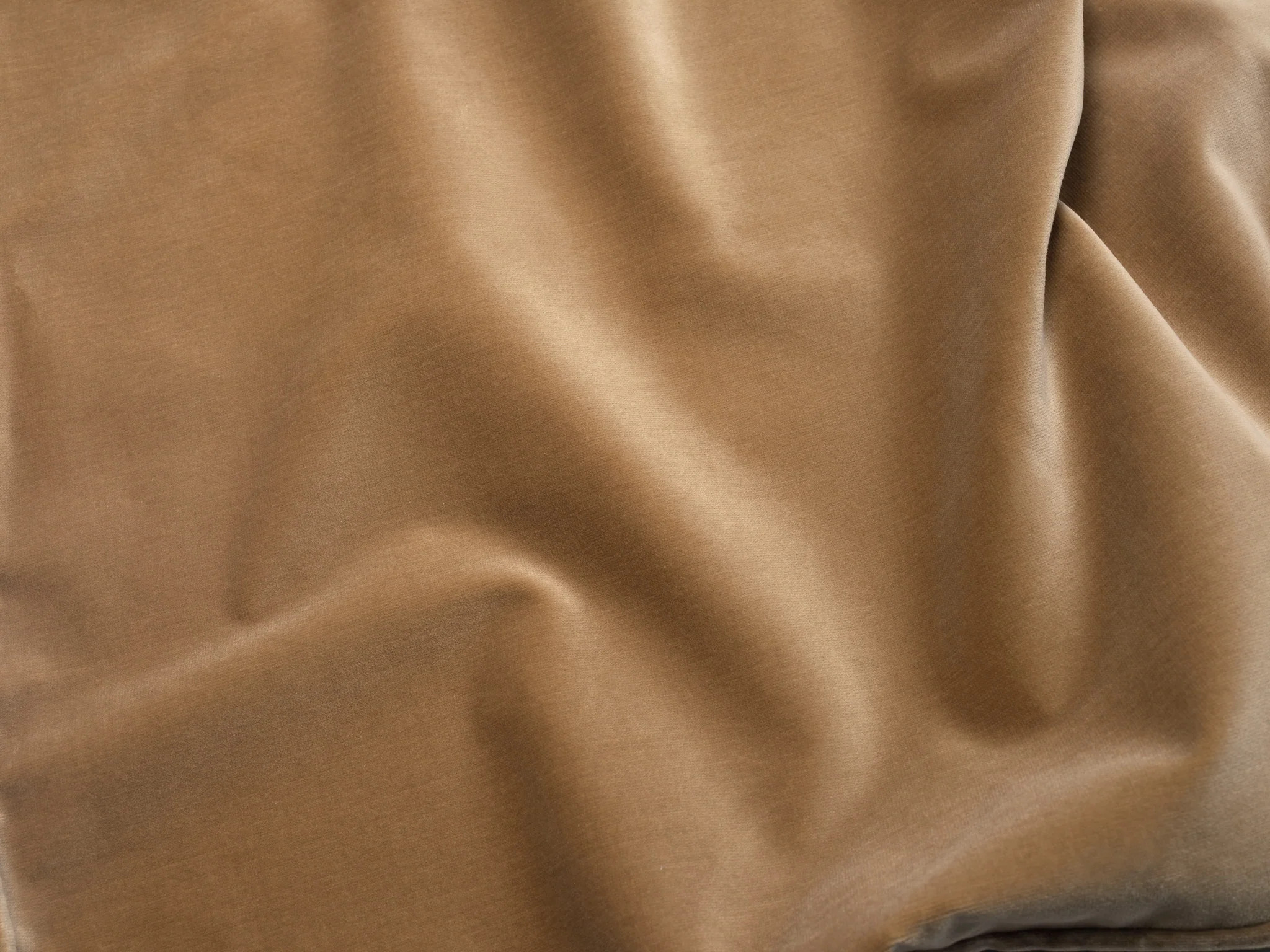 Junior Velvet - Latte Cushion | Hommey