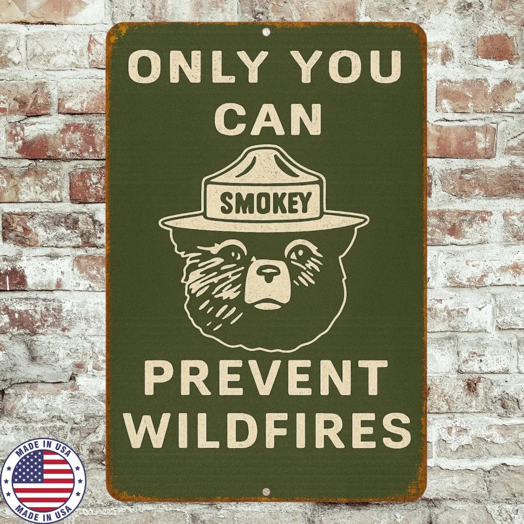 Smokey Bear Wildfire Prevention Sign – 8x12 Vintage Forest Safety Metal Wall Decor, Camping Sig... | Etsy (US)