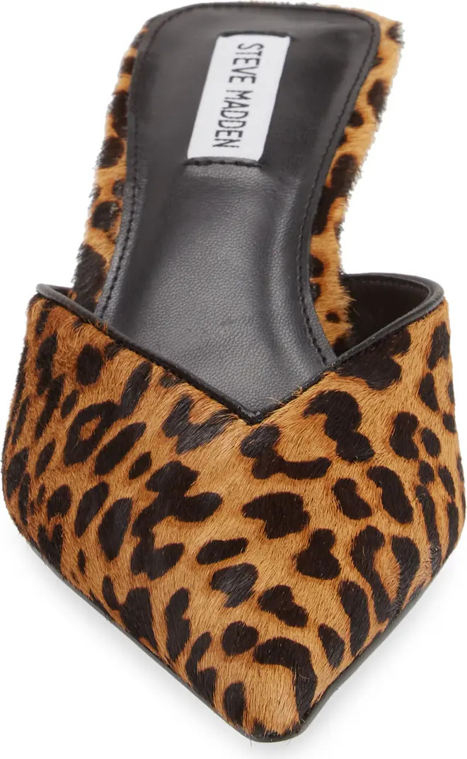 Steve Madden Mod-A Leopard Print Genuine Calf Hair Mule (Women) | Nordstrom | Nordstrom