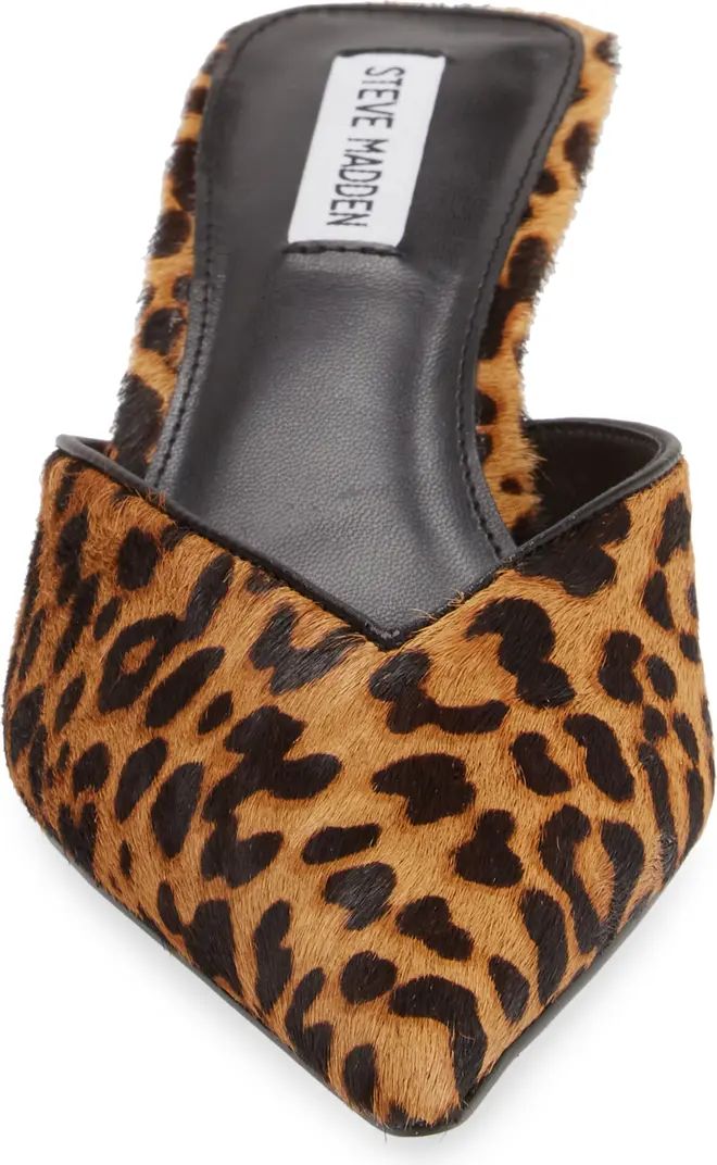 Steve Madden Mod-A Leopard Print Genuine Calf Hair Mule (Women) | Nordstrom | Nordstrom