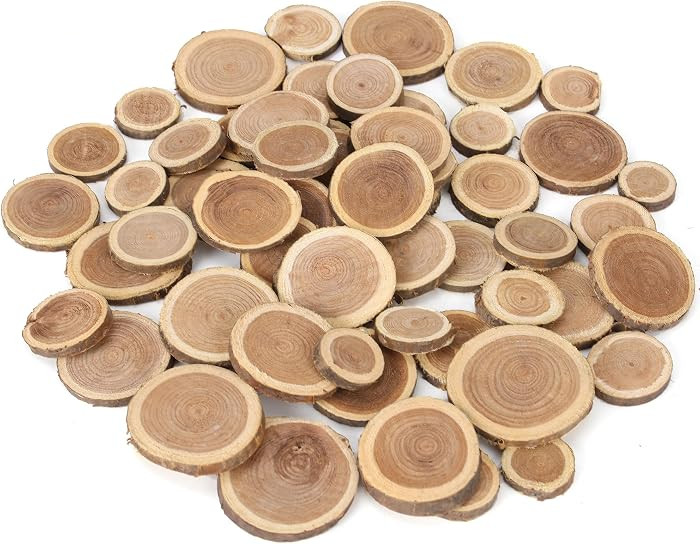 Natural Wood Slices for Crafts, 1.2"-2.5" Mini Assorted Unfinished Wood Tree Bark Round Log Discs... | Amazon (US)