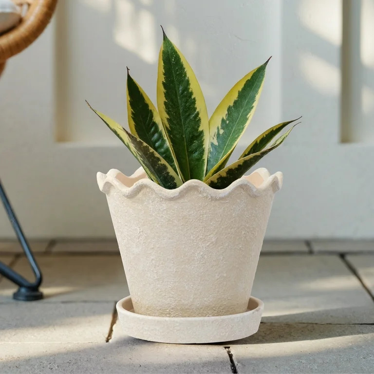 My Texas House4.9 stars out of 12 reviews(4.9)|12 My Texas House Wave Ceramic Planter Pot, Cream,... | Walmart (US)