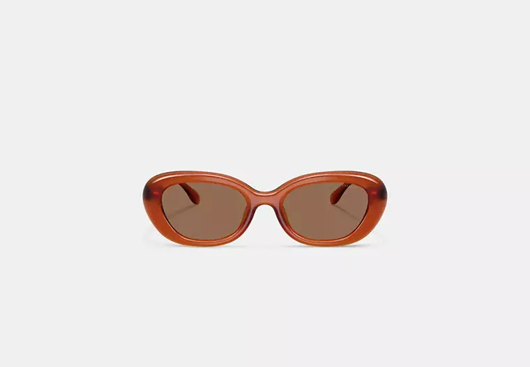 C Hardware Round Sunglasses | Eyewear | Coach | COACH® | Coach (US)